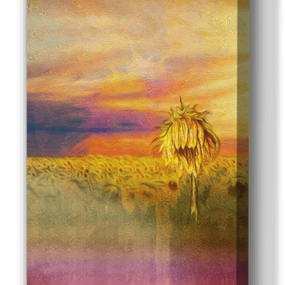 Gloaming Sunflower Meadow || Stretched Canvas (1.5″ Thick)